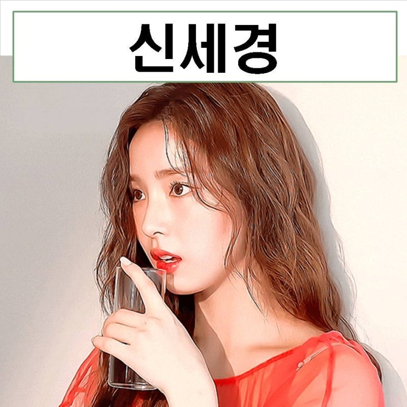 신세경 프로필 리즈 타짜 움짤 나이 키 MBTI 하이킥 레전드 이담
