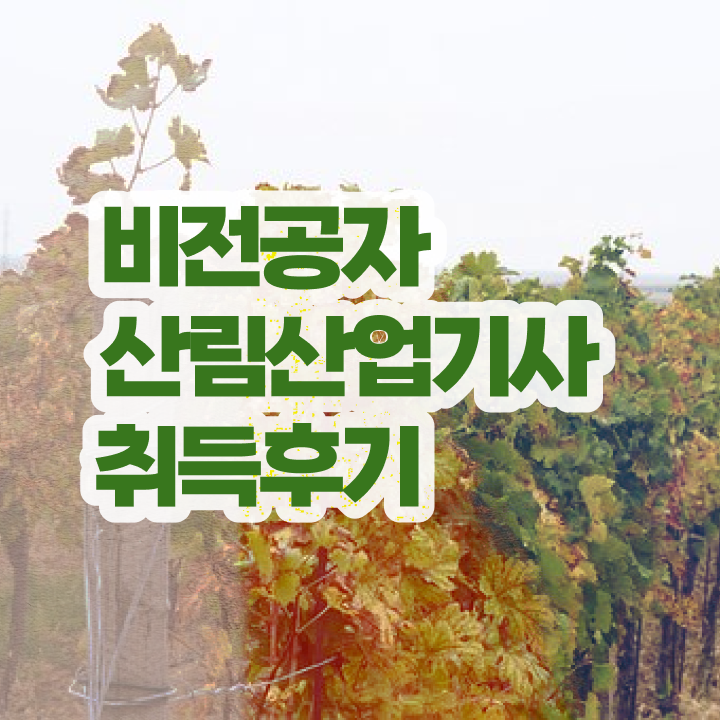  산림산업기사 응시자격 서류 산림산업기사 시험응시조건 온라인 수업으로 간편하게 완료한 전략