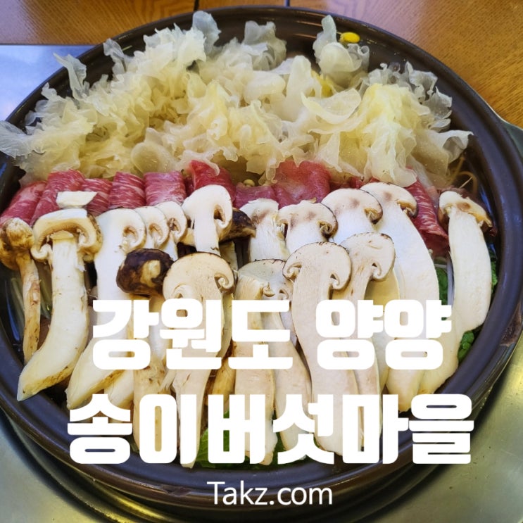  양양 건강하고 맛있는 버섯전골 맛집 송이버섯마을 후기