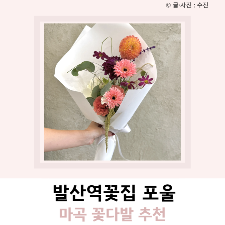 마곡 발산역꽃집 포울 꽃다발 마곡 발산역꽃집 포울 꽃다발