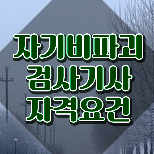  자기비파괴검사기사 실기합격률 , 자기비파괴검사기사자격증 준비 과정 및 온라인 독학