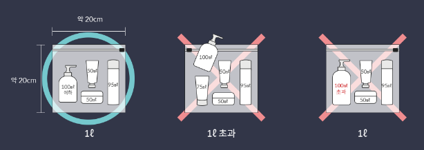  기내 수하물, 위탁 수하물 주의 사항 [수하물 규정]