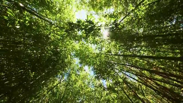  토목산업기사 토목산업기사 시험응시자격 독학으로 간편하게 끝낸 팁