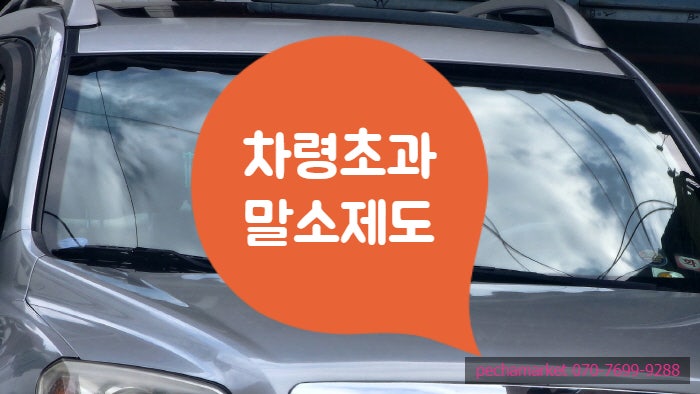  차령초과말소제도