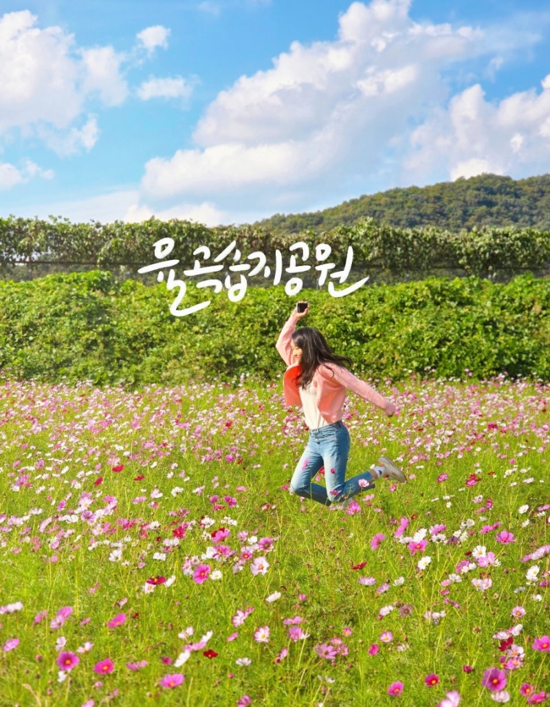 사진 4