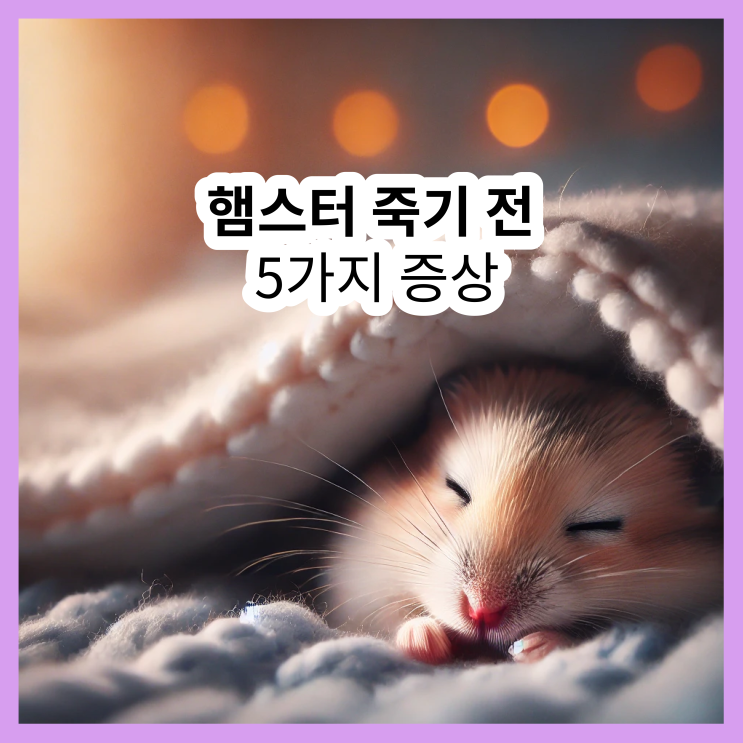  햄스터 죽기 전 증상 및 신호, 이 5가지 절대 놓치지 마세요!