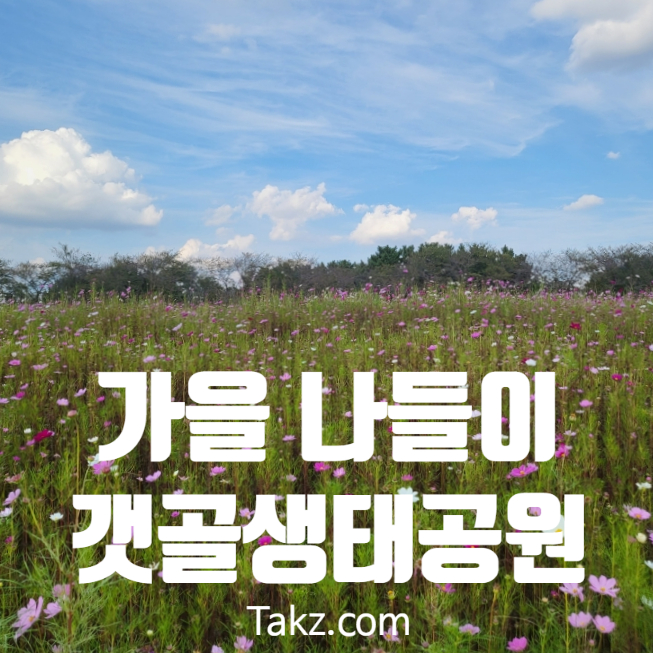 가을에 아이들과 가기 좋은 갯골 생태공원 후기