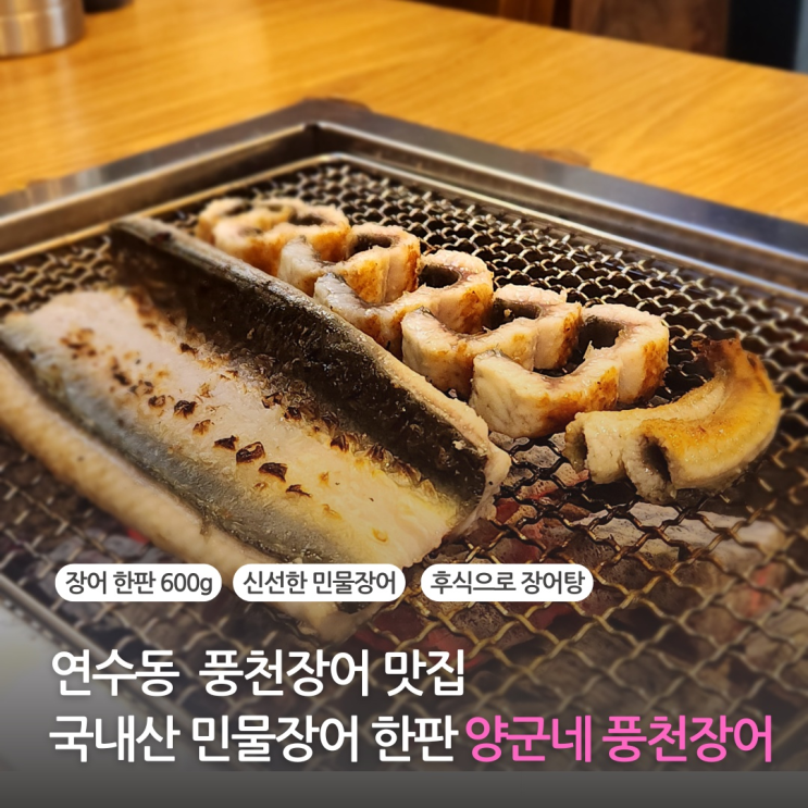  연수동 장어맛집 풍천장어 국내산 민물장어 한판 양군네 풍천장어