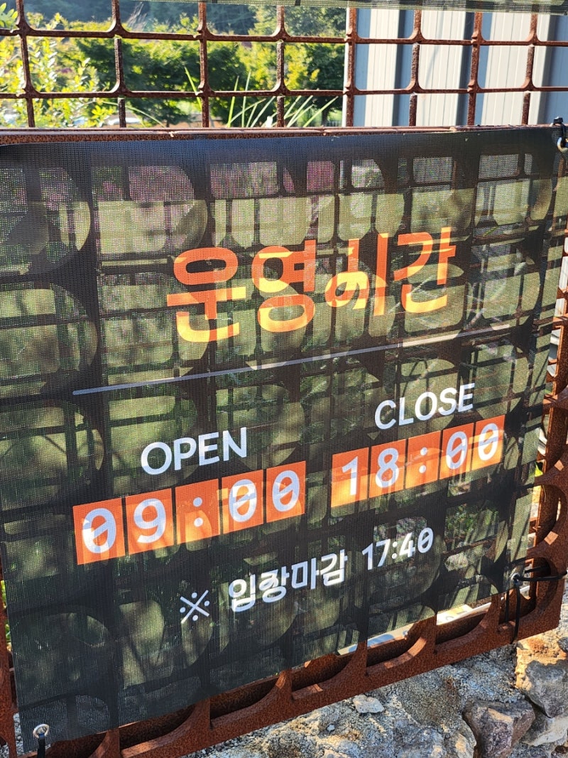 사진 4