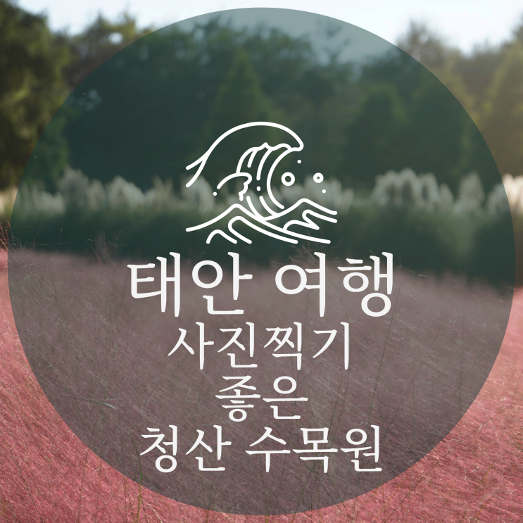  사진 찍기 너무 좋았던 태안 청산 수목원