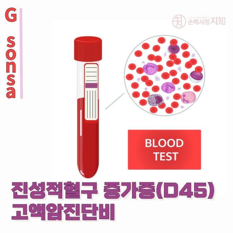  남양주 진성적혈구증가증(D45) 보험 청구, 손해사정사와 함께 분쟁 해결하기