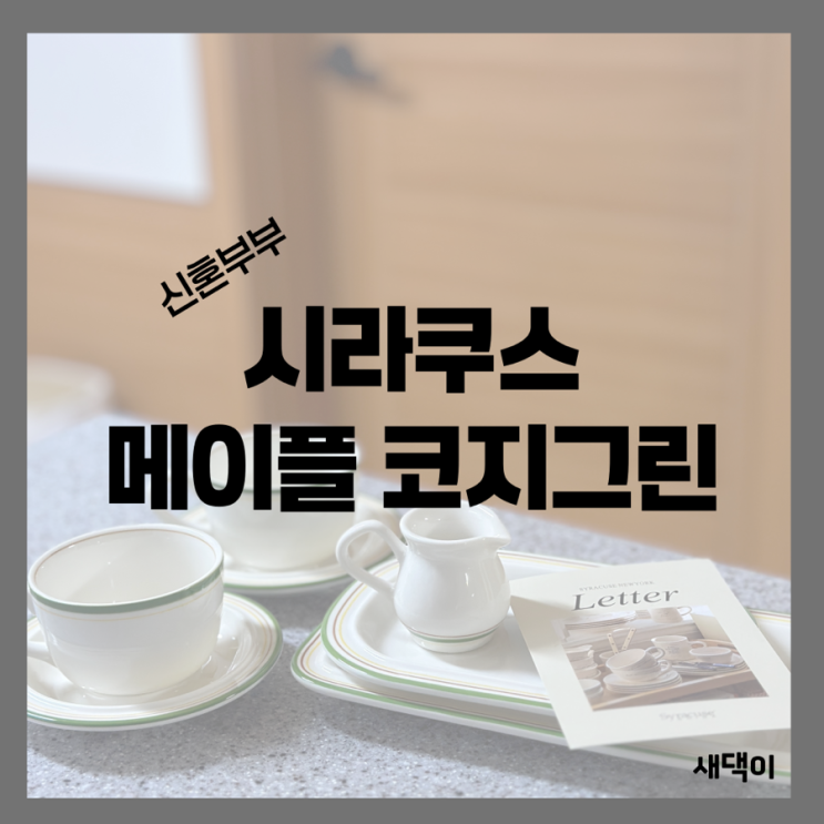  신혼부부 그릇 시라쿠스 메이플 라인 코지그린
