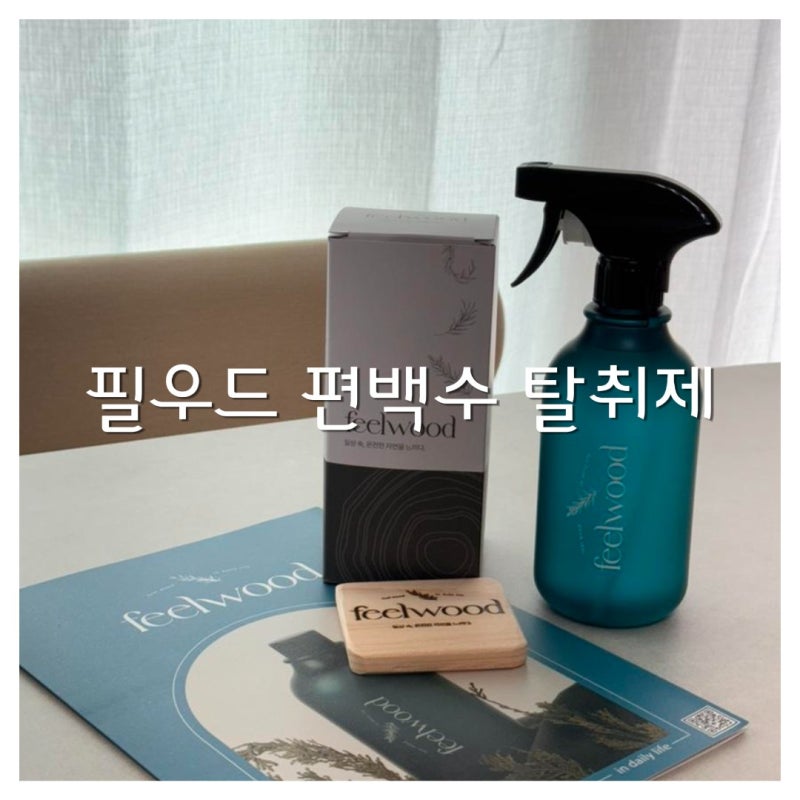 편백수 효능 신축 구축 이 필수템 천연탈취제