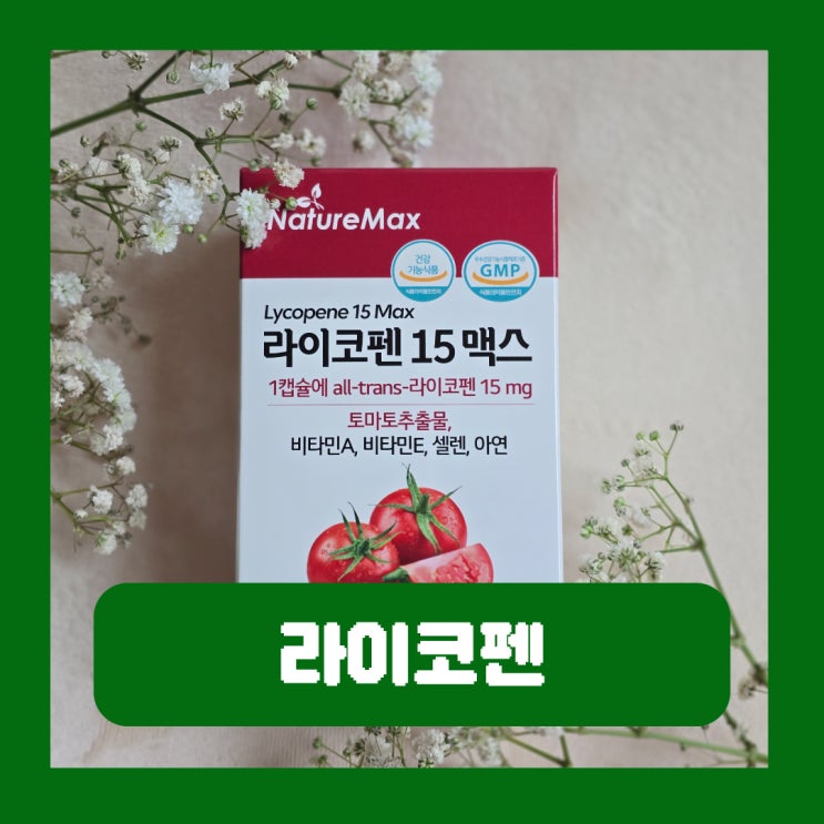  토마토 효능 라이코펜 항산화 영양제 종류 추천