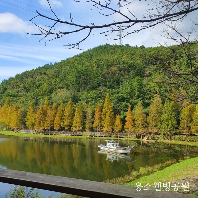 사진 7