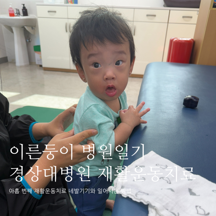 이른둥이 병원일기 아홉 번째 재활운동치료 네발기기와 일어서는 방 이른둥이 병원일기 아홉 번째 재활운동치료 네발기기와 일어서는 방