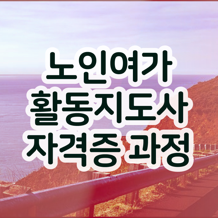  노인여가활동지도사 무료 학원 , 노인여가활동지도사자격증 준비한 방법 , 활용 방법과 전망
