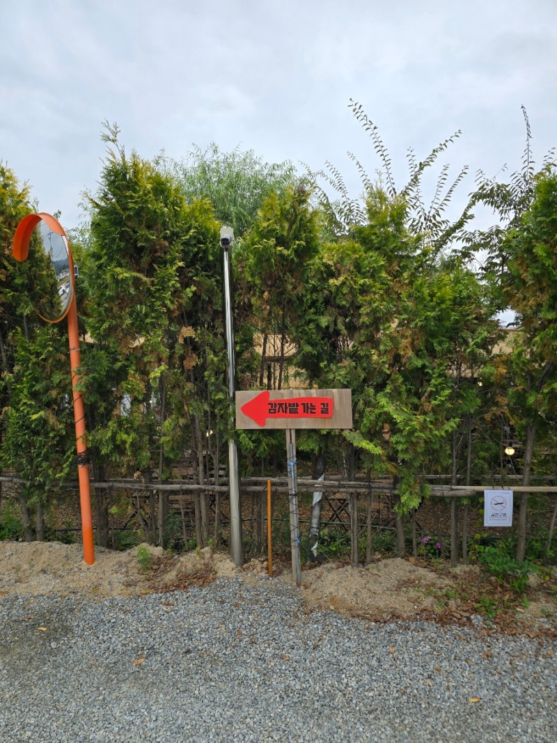 사진 2
