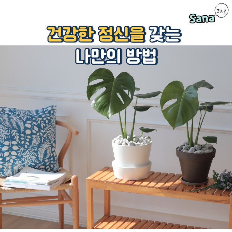  건강한 정신을 갖는 나만의 방법