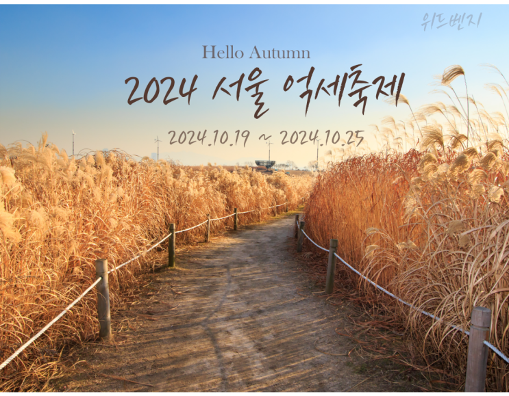  2024 서울 억세축제 하늘공원  가볼만한곳 추천