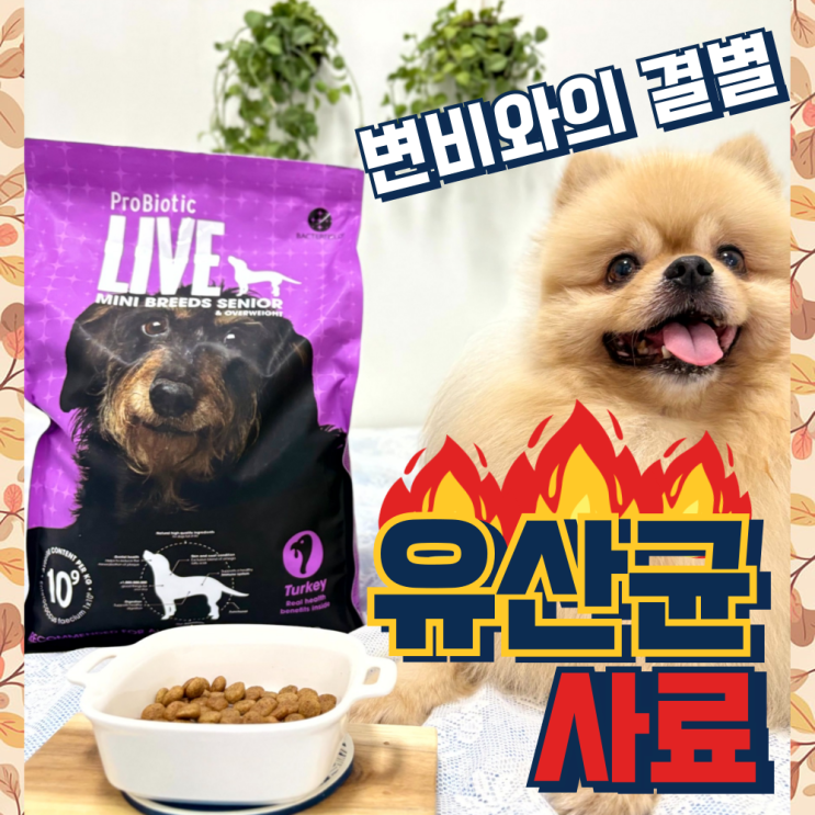  강아지유산균사료 체중조절과 변비고민에 유럽산 프로바이오틱 라이브 급여 후기