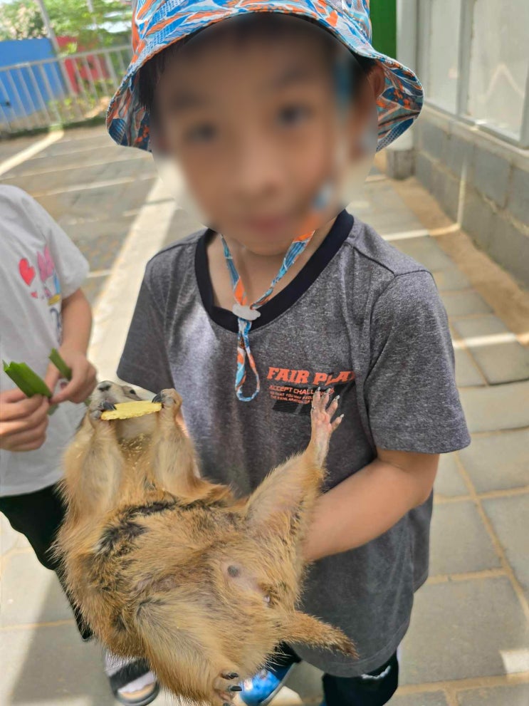  [판랑탑짬] 동물원 놀러가기!