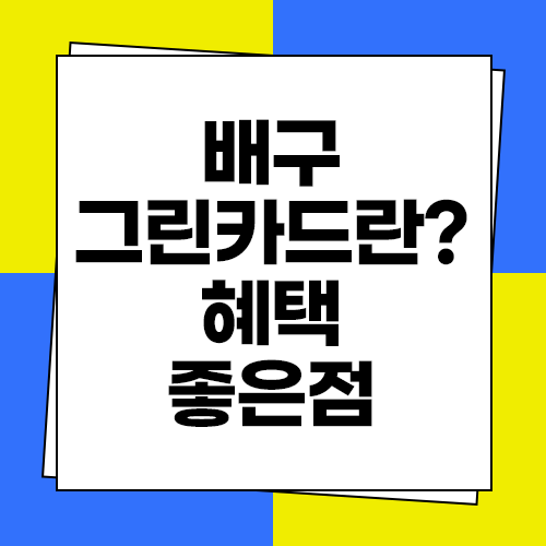  배구 그린카드 제도 도입 및 좋은점 혜택