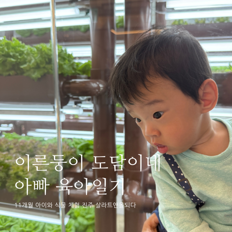 11개월 아이와 식물 체험 진주 살라트앤올되다 D+347 11개월 아이와 식물 체험 진주 살라트앤올되다 D+347