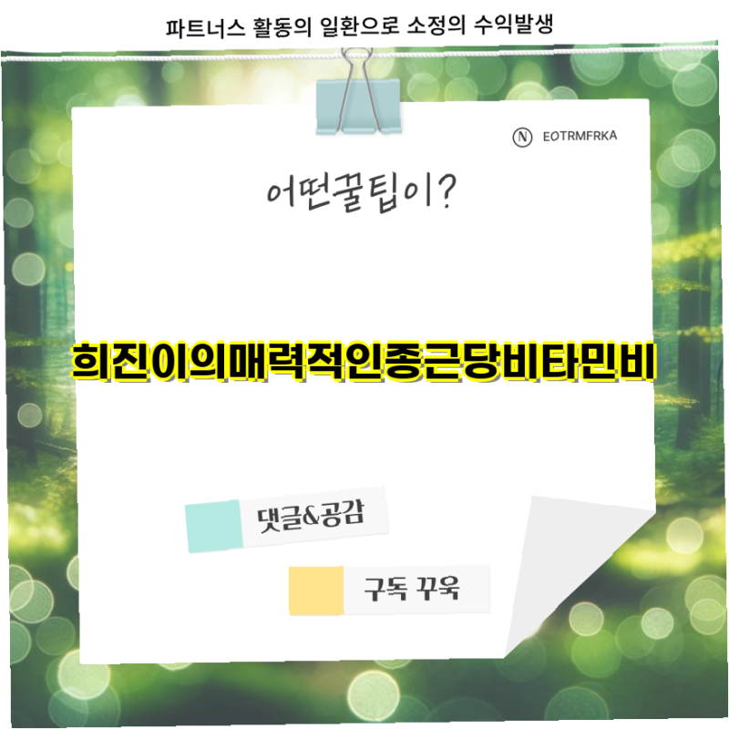 종근당 활력 비타민B 플러스 60정 패키지 4종 비교 및 선택 가이드  비타민B 건강 관리 종근당 ....