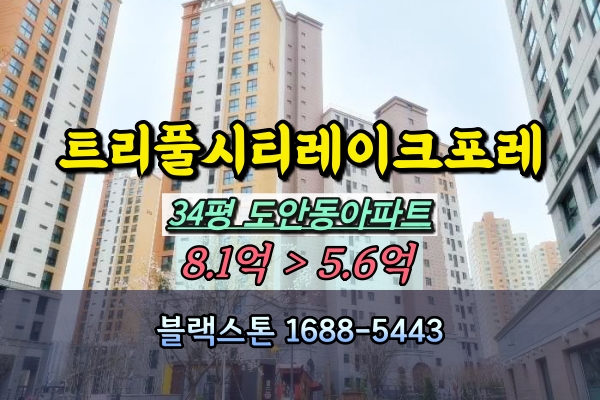  도안동 신축아파트 경매 트리풀시티레이크포레 34평 고층