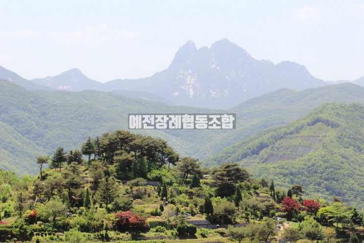  양주 매장묘 가족묘 평장묘 자연장 신세계공원묘지