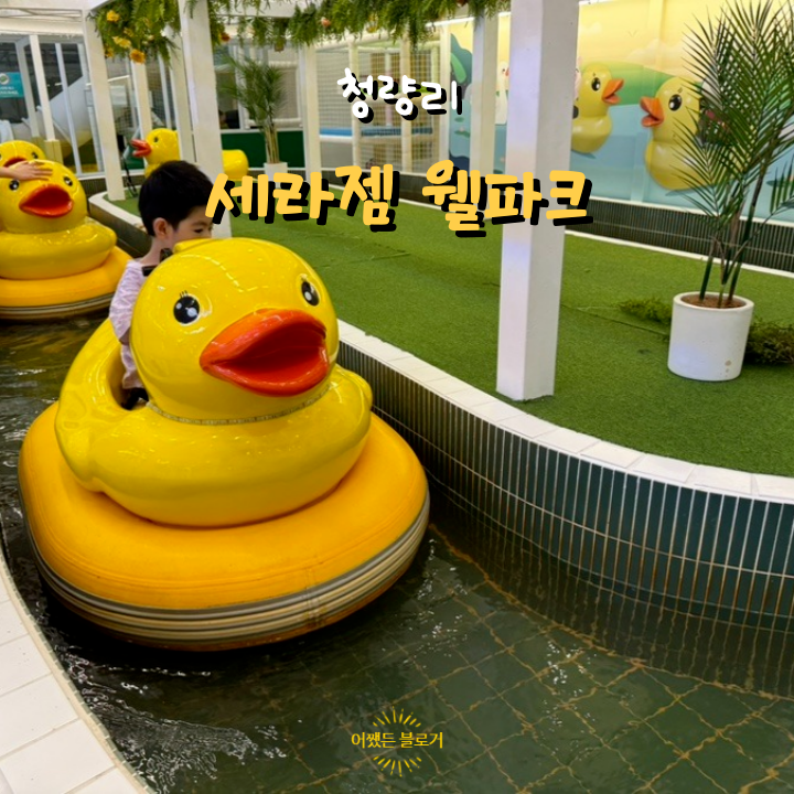  아이와 부모 모두 만족하는 키즈카페 세라젬 웰파크 청량리점