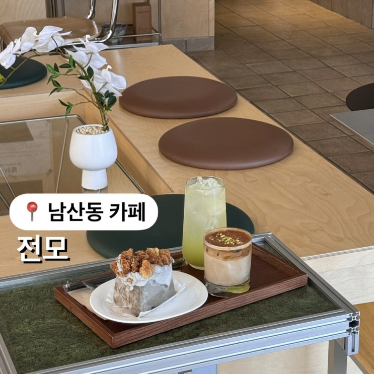  남산동 카페 전모 JEONMO 全貌 분재샵