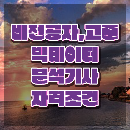  빅데이터분석기사 비전공자 실기 , 빅데이터분석기사 취득자격 독학으로 쉽고 빠르게 완료한 전략