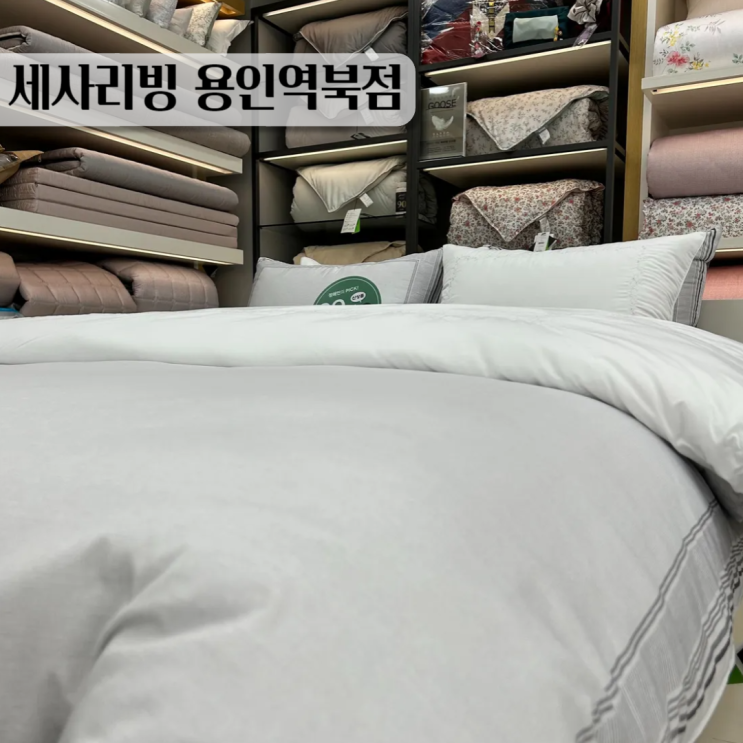 용인 혼수이불 세사리빙 용인역북점 3주년행사 이불세일 정보