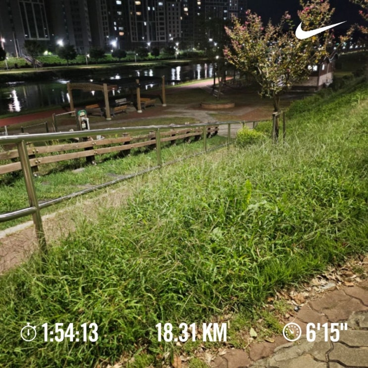  [챌린지] 매일 10km 러닝 챌린지 1156일 차