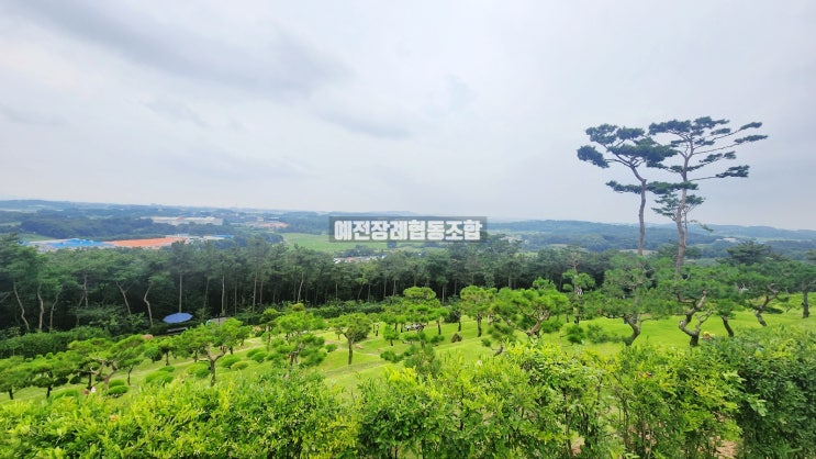  화성 수목장 자연장 하늘공원 수목장