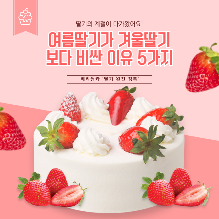  여름딸기가 겨울딸기보다 비싼 이유 5가지