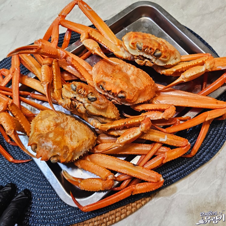  제철 홍게찌는법 달달 홍게 먹는법 붉은 대게 손질법