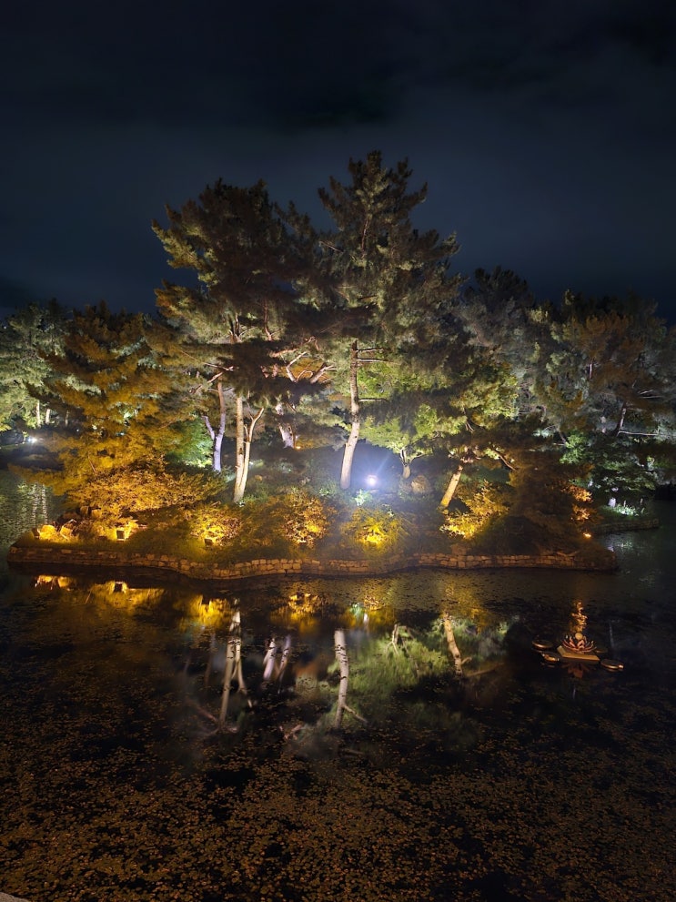  경주 당일 여행 코스 동궁과월지 주변 가볼만한곳