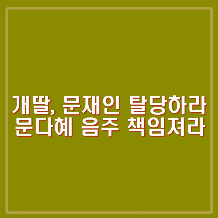 이재명 강성 지지자 개딸, <b>문다혜 음주운전</b>에 문재인 탈당하라.