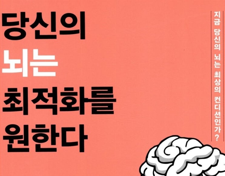  당신의 뇌는 최적화를 원한다 - 평생 삶에 적용하기