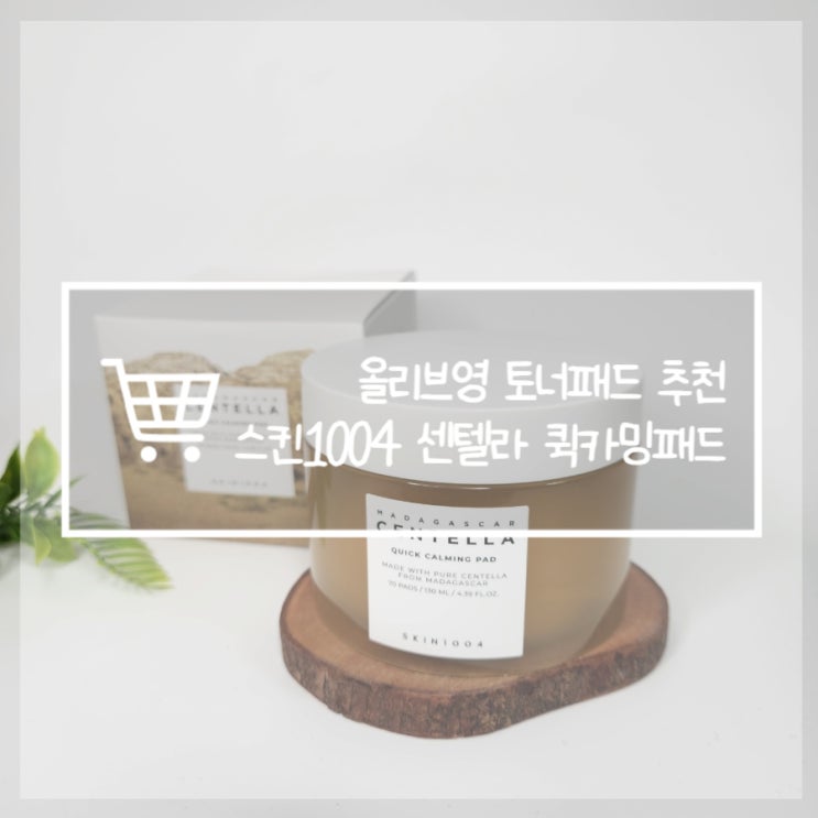 토너패드사용법 스킨1004 퀵카밍패드 환절기케어