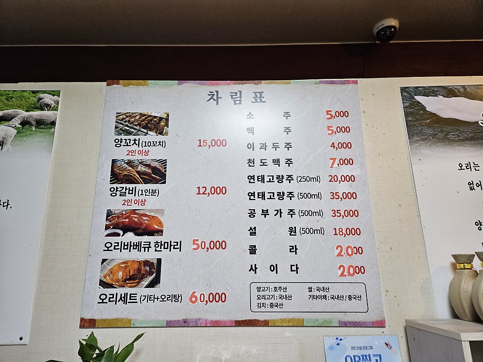 삼형제오리 사진 5