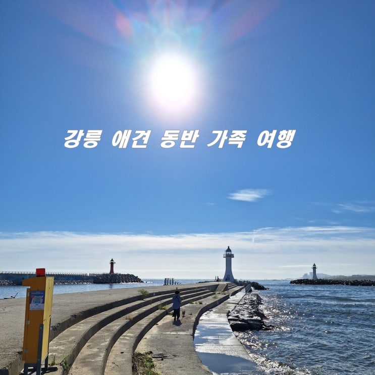  애견 동반 가족 강릉 여행 사천해변 강릉 베이스캠프애견동반 펜션