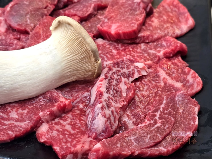  최근 대전 맛집탐방 / 신성동맛집 아리랑보쌈, 엑스포시민광장, 둔산대공원, 이응노미술관, 엑스포다리, 한우김삿갓, 준호네춘천닭갈비 전민점