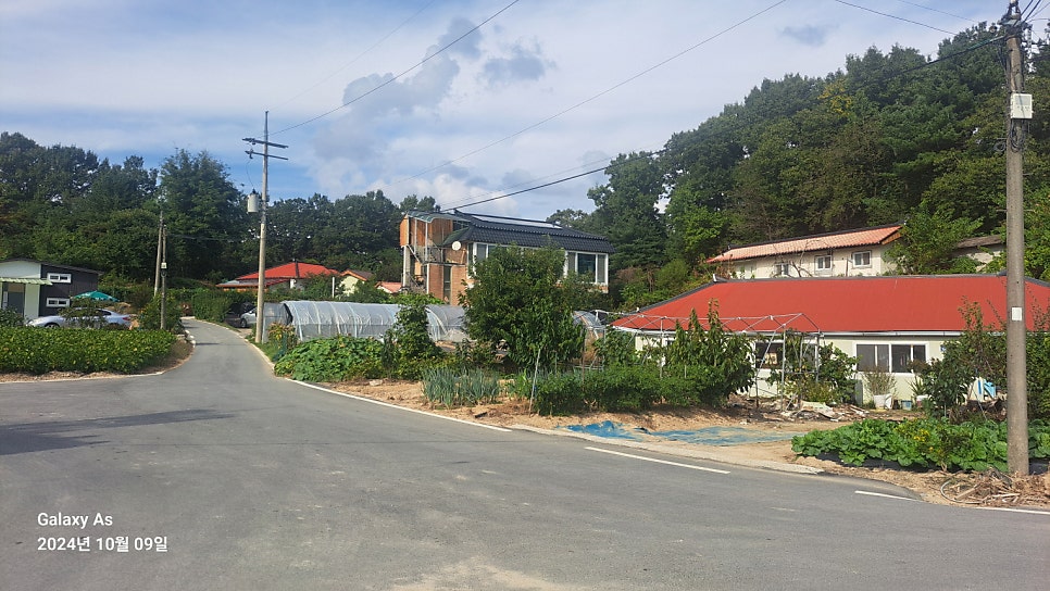 새남골산 사진 3