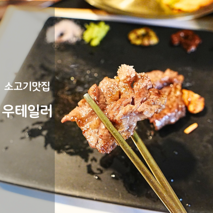  동탄 소고기 룸있는 고기집 우테일러 한우 소고기 양념돼지갈비 구이