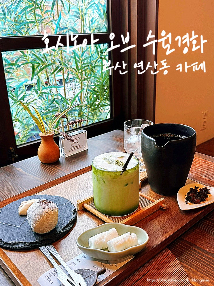  부산 연산동 카페 '호시노아 오브 수월경화' 고즈넉한 분위기 찻집 추천