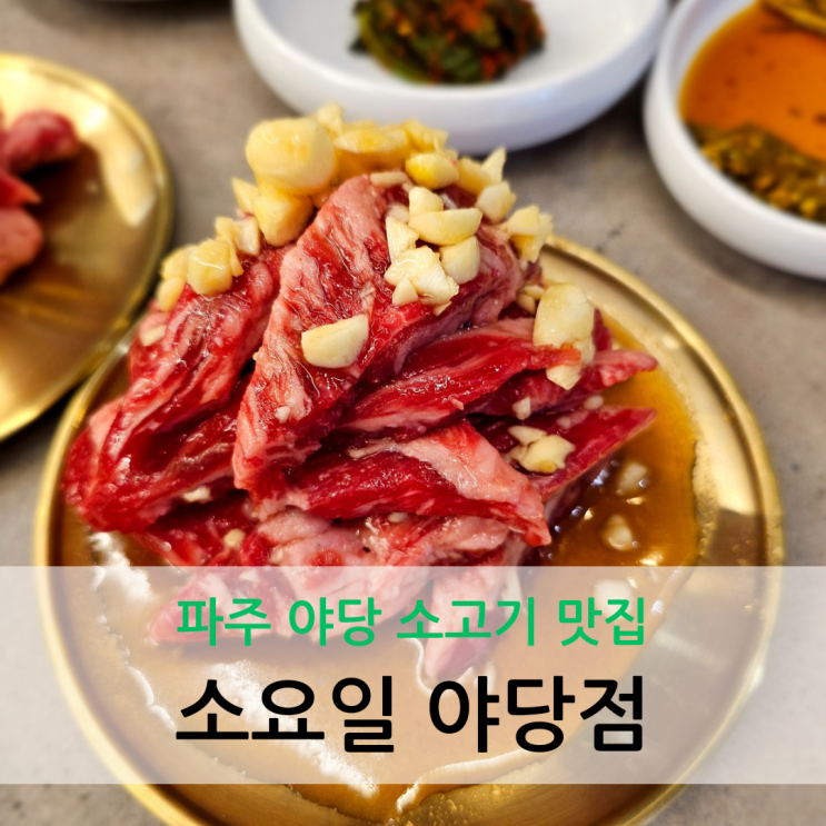  파주 야당 소고기 맛집 마늘 양념 소갈비살이 맛있는 소요일